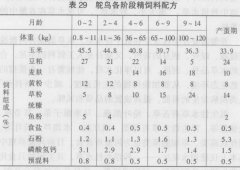 用草料養殖鴕鳥(niǎo)的方法
