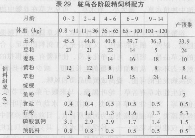 鴕鳥(niǎo)飼養管理技術(shù)