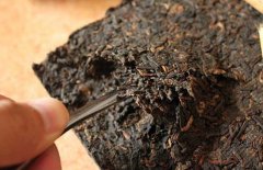 喝普洱茶能減肥嗎？