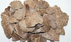 常見(jiàn)的餅肥都有哪些？餅肥快速發(fā)酵的方法