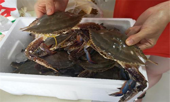 螃蟹屬于海鮮嗎？