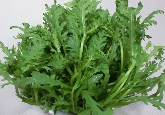 茼蒿的營(yíng)養價(jià)值