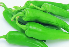 青椒的營(yíng)養價(jià)值及功效 吃青椒的好處