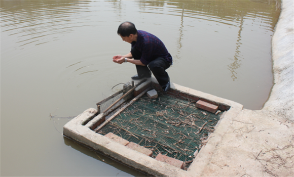 魚(yú)塘水質(zhì)調節