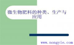 生物肥料如何分類(lèi) 生物肥料施用技術(shù)及注意事項