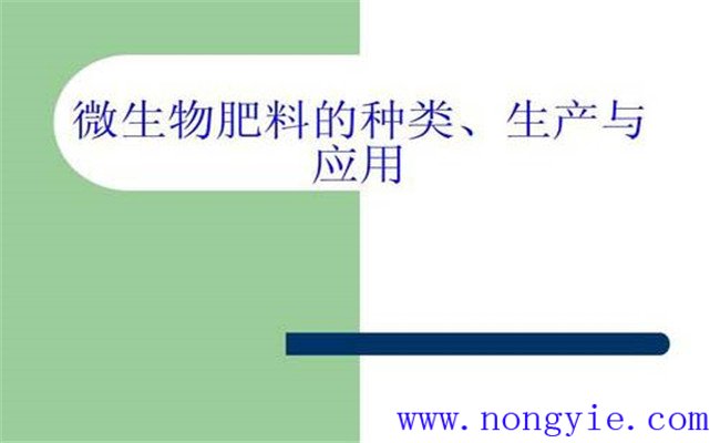 生物肥料分類(lèi)