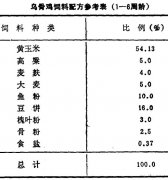 怎樣飼養商品烏骨雞？