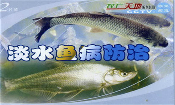 魚(yú)病的預防與治療