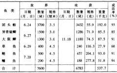 養殖戶(hù)為何喜歡養團頭魴