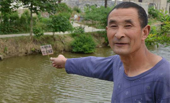 豬糞養魚(yú)