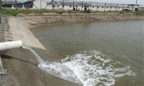 養魚(yú)水質(zhì)不好怎么辦