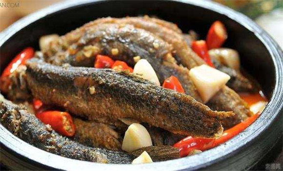 泥鰍的營(yíng)養價(jià)值