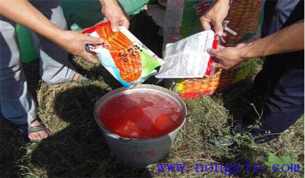 技術(shù)措施包括哪些內容