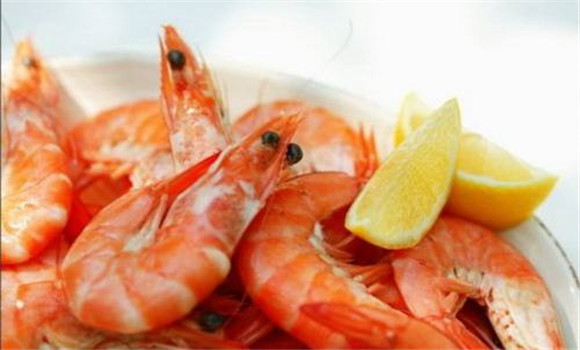 海蝦的營(yíng)養價(jià)值