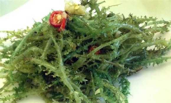 鹿角菜的功效是什么 鹿角菜的營(yíng)養價(jià)值
