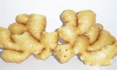 生姜的功效與作用 生姜的養生功效