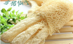 竹蓀生長(cháng)在什么地方 竹蓀生長(cháng)環(huán)境要求有哪些