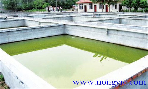 精養魚(yú)池的建設標準
