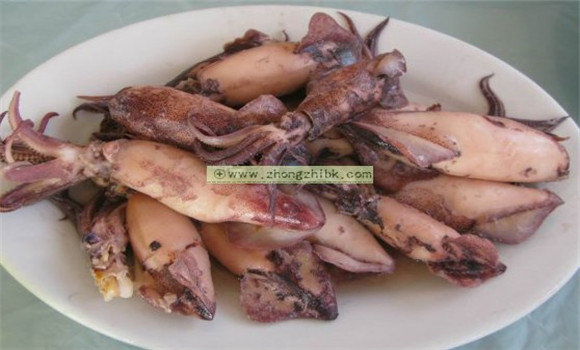 烏賊魚(yú)的功效與作用 烏賊魚(yú)的營(yíng)養價(jià)值
