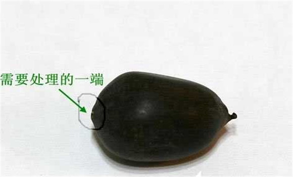 碗蓮的種植方法帶圖，碗蓮的種植方法與技術(shù)詳