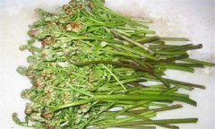 蕨菜的營(yíng)養價(jià)值 蕨菜的食用做法