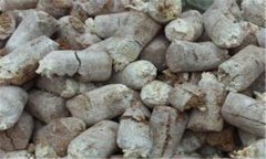 食用菌菌糠的營(yíng)養成分、用途與再利用前景分析