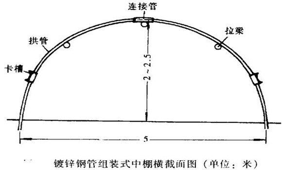 塑料中棚加外覆蓋能明顯使蔬菜早熟，效益高