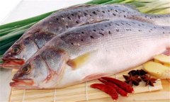鱸魚(yú)是海魚(yú)還是淡水魚(yú)，海鱸魚(yú)和河鱸魚(yú)的區別