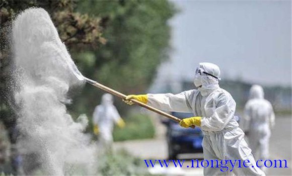 魚(yú)苗放養前用什么消毒