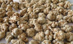 三七的主要栽培區域 三七的形態(tài)特征與生物學(xué)特