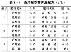 西洋報春無(wú)土栽培技術(shù)