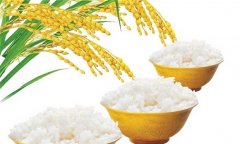 大米的營(yíng)養價(jià)值及功效與作用分析