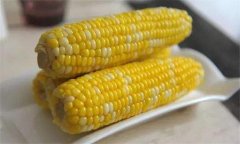 玉米的營(yíng)養價(jià)值及功效知多少