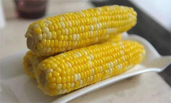 玉米的營(yíng)養價(jià)值