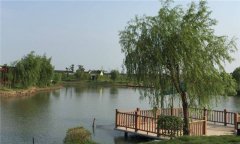 不同魚(yú)種塘的投飼、施肥方法是什么？