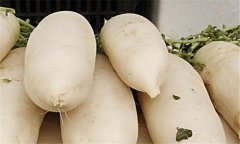 蘿卜的營(yíng)養成分 蘿卜的營(yíng)養價(jià)值與藥用功效
