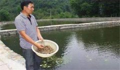 魚(yú)塘如何施肥？魚(yú)塘施肥技術(shù)的三個(gè)要點(diǎn)