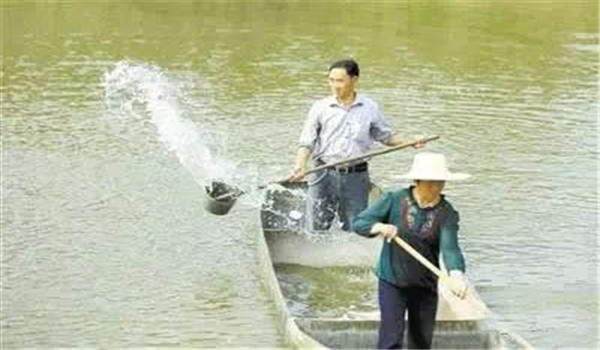 清理魚(yú)塘的方法