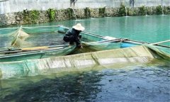 魚(yú)赤皮病的治療方法、是什么引起、有什么癥狀