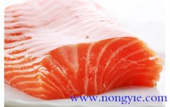 三文魚(yú)排的營(yíng)養價(jià)值和功效作用