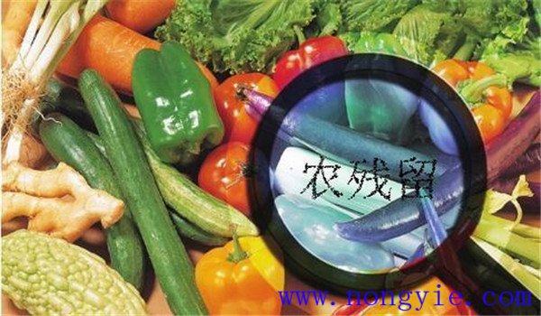 農藥殘留對人體的危害