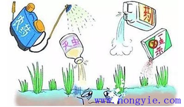 農藥殘留是現代農業(yè)的必然現象