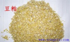怎樣用豆粕喂牛，豆粕和豆餅喂牛效果一樣嗎？