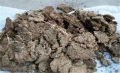 雞糞如何發(fā)酵成有機肥，用什么發(fā)酵菌好？
