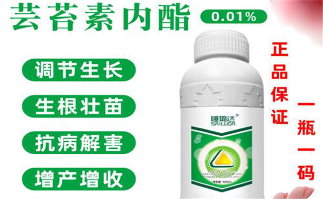 黃瓜種子調節劑如何使用