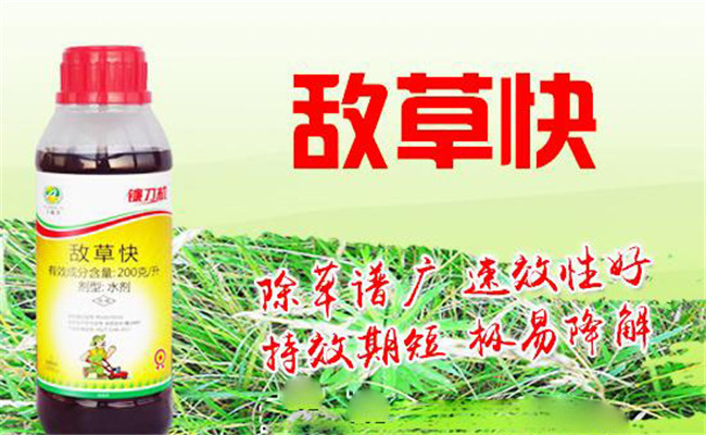 敵草快和草甘膦的區別