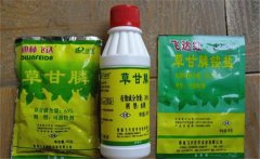 草甘膦除草劑使用范圍，使用多久能生效？