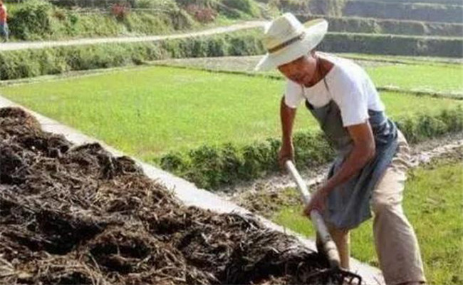 過(guò)磷酸鈣與有機肥如何混施