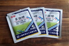 如何正確使用多效唑，用多了發(fā)生藥害怎么辦？