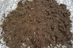 怎樣用多菌靈給土壤消毒，多菌靈可防治哪些病